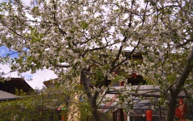 Shangri-La Xueyu Qingyuan