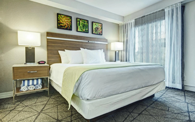 Desert Rose Resort