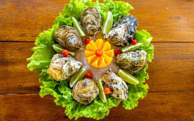 Pousada Recanto das Flores