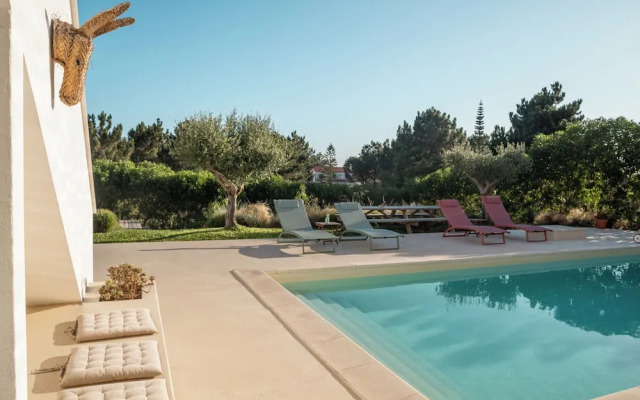 Birds of Paradise - Boutique surf lodge