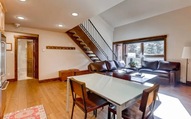 Luxury Ski In, Ski Out 1 Bedroom Condo in Lionshead Village