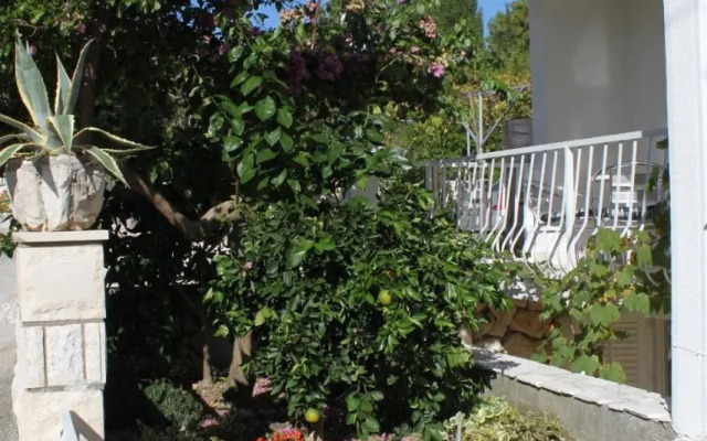 Apartments by the sea Slano, Dubrovnik - 8599