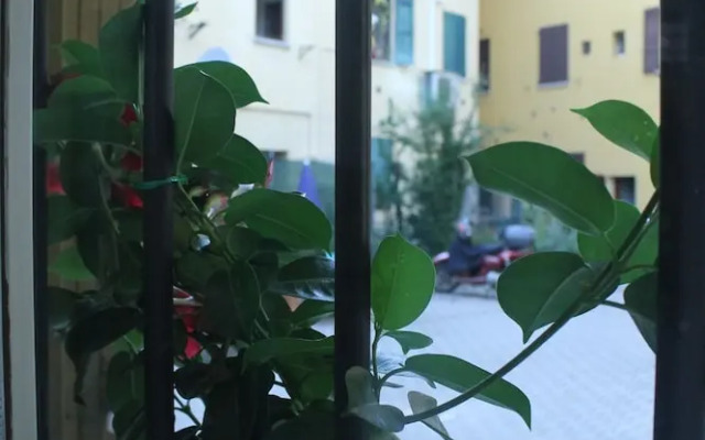 Il Delfino A Bologna
