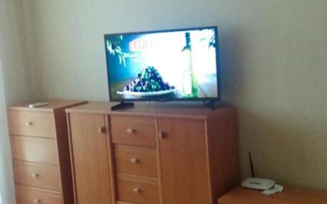 Studio on Vandy Vasylevskoi 8