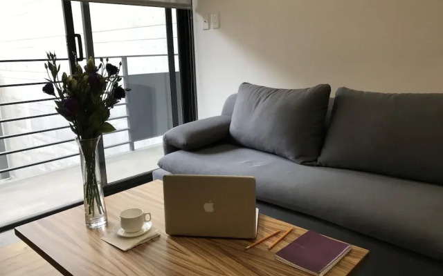 Amazing Apartment in Reforma
