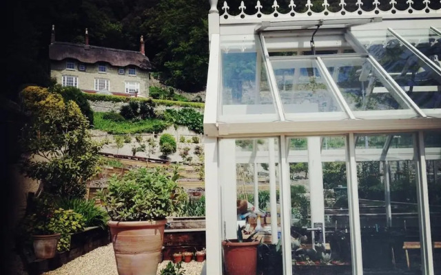 Hillside