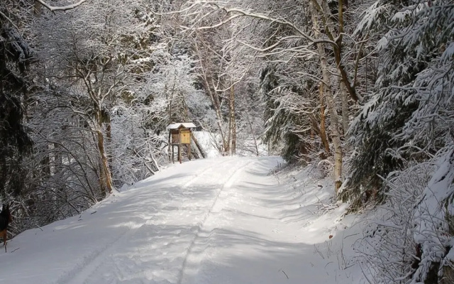Doppelhaushalfte in Hasselfelde