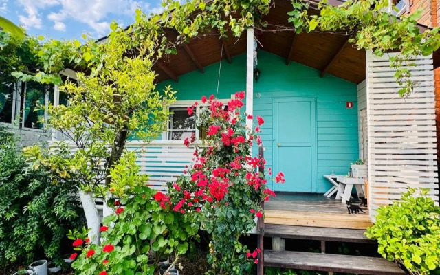 Mozaika (с. Лдзаа)