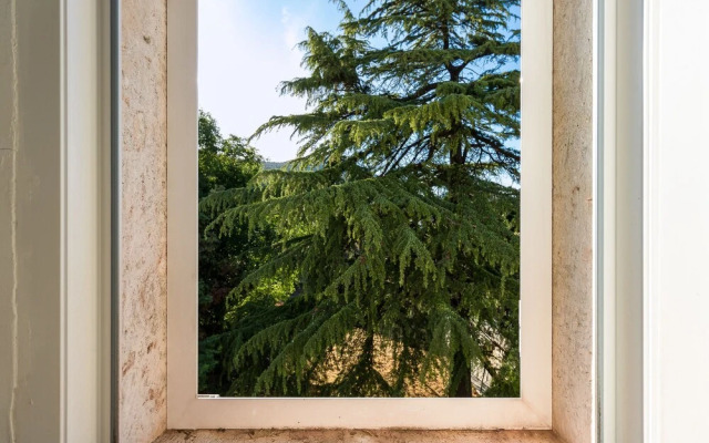 St. Lucia's Apartment