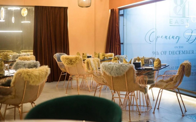 Little Mastiff Moshi