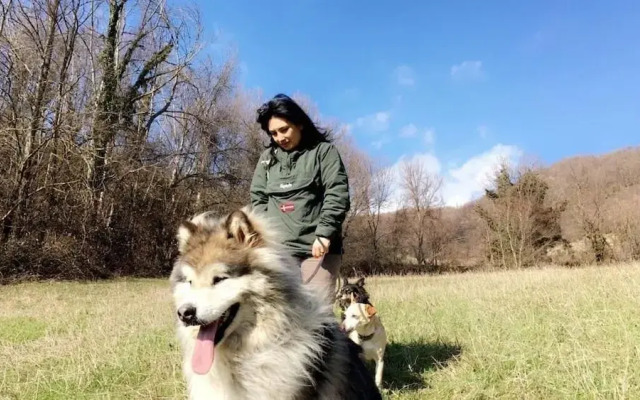 Agriturismo Castello della Pieve