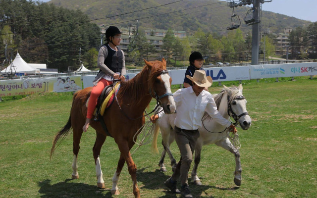 Yongpyong Resort Villa Condominium
