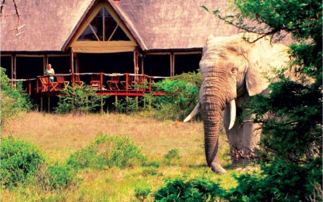 The Safari Lodge