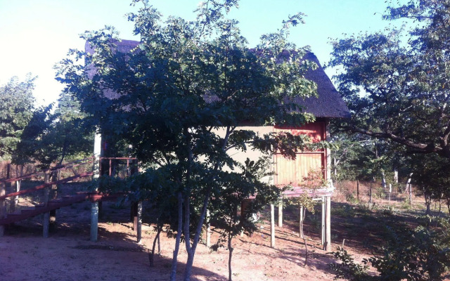 Lion Roars Lodge