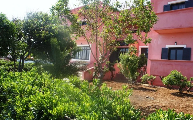 Sofia's House