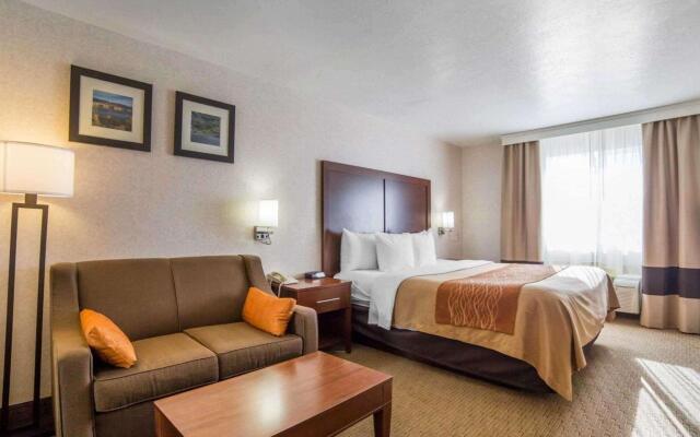 Comfort Inn Elko