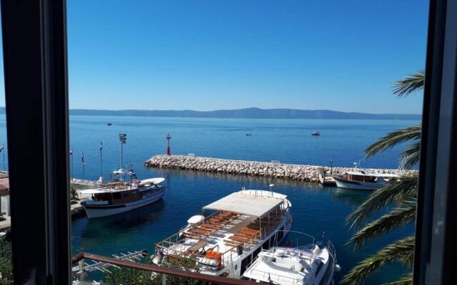 Palm tree studio, Podgora