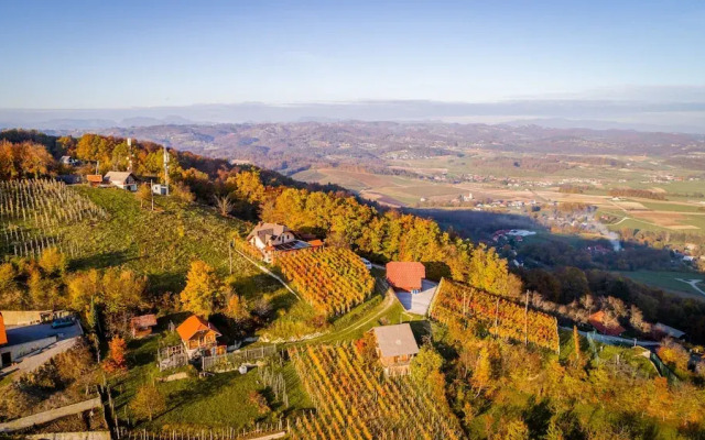 Vineyard Cottage Bregac