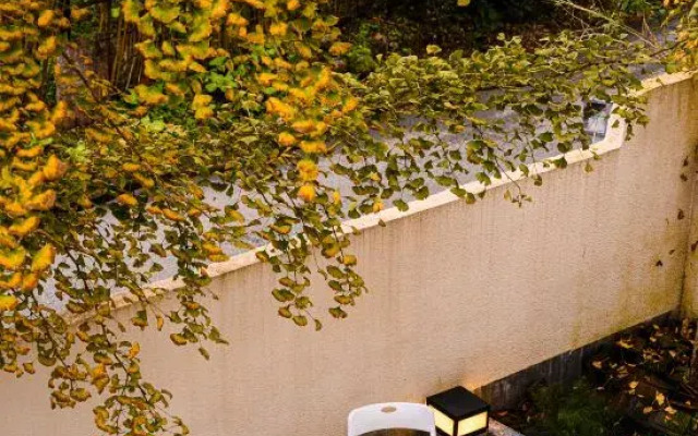 Qingcheng Mountain Moan Qingcheng Tangquan View B&B