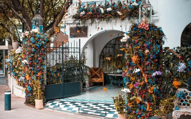 Orchid House Polanco
