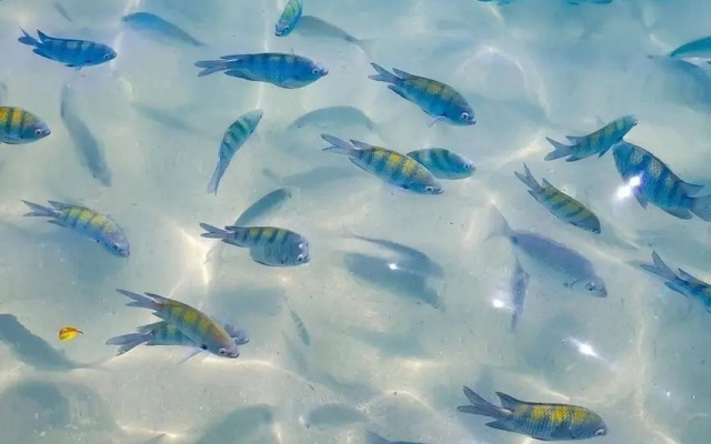 Cobertura com Piscina na praia de Bombas