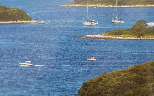 The Istrian