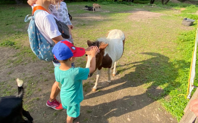 Drevenica Emilka - Nízke Tatry - Muran - Pre Rodiny