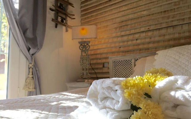 Luxurious Villa in Gassin France With Private Pool