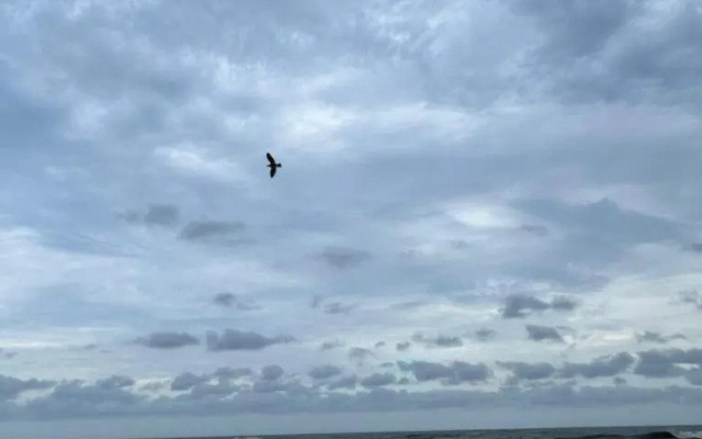 201 St Tropez, South Coast