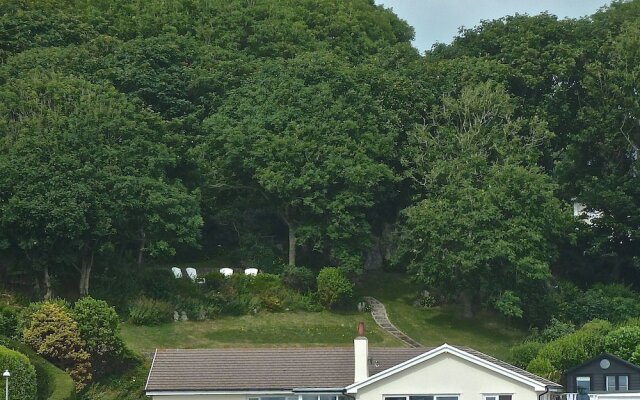 Brynteg Bed and Breakfast - Manorbier