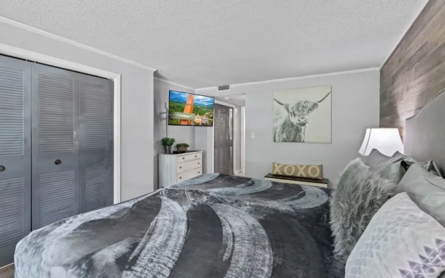 Modern 2br Condo in the Smokys!