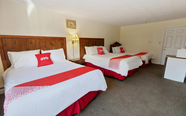 OYO Hotel Buena Vista Delhi