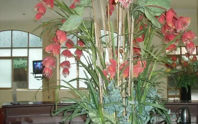 Sen Vang Hotel