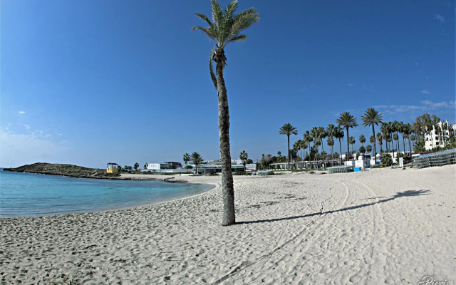 Golden Tree Apartment
