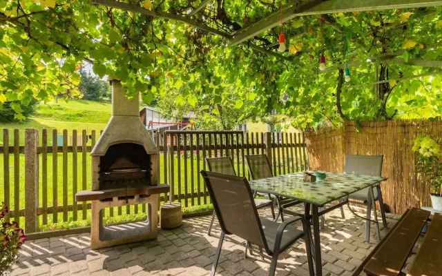 Apartment in Sebnitz in Saxon With Terrace