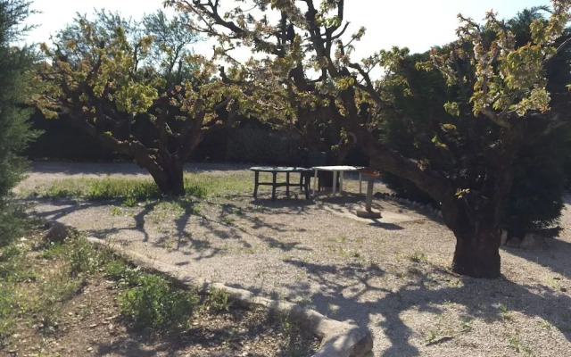 Zocalo Ranch