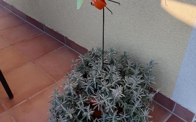 Jacqueline Apartment