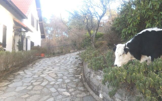 B&B Le Camelie Del Bosco