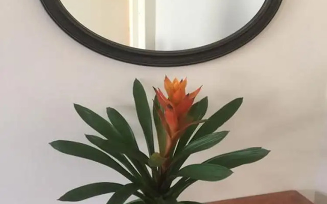 Rich Place Squareville