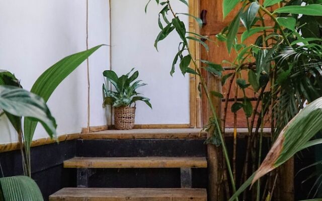 Dream Surf House Santa Teresa