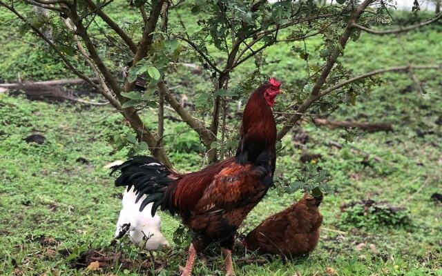 Pousada Villa da Glória