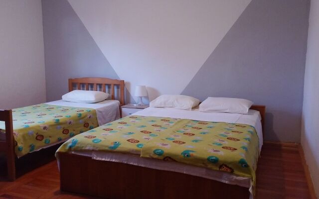 Apartment Damir - big apartment A1-donji veliki Nin, Zadar riviera