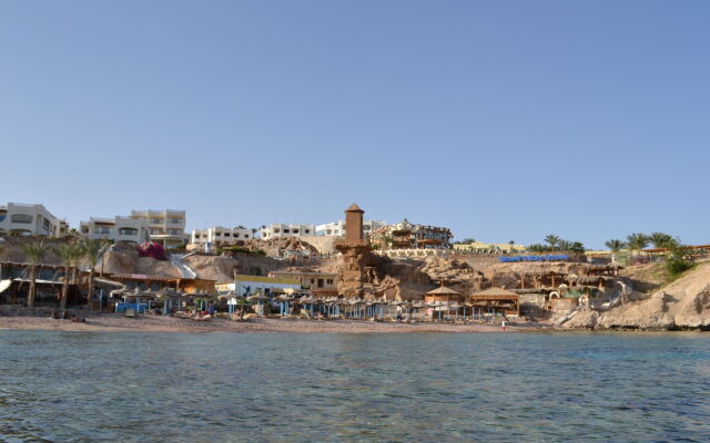 Shark Bay Oasis