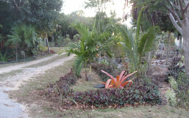 Island Seaside Suites