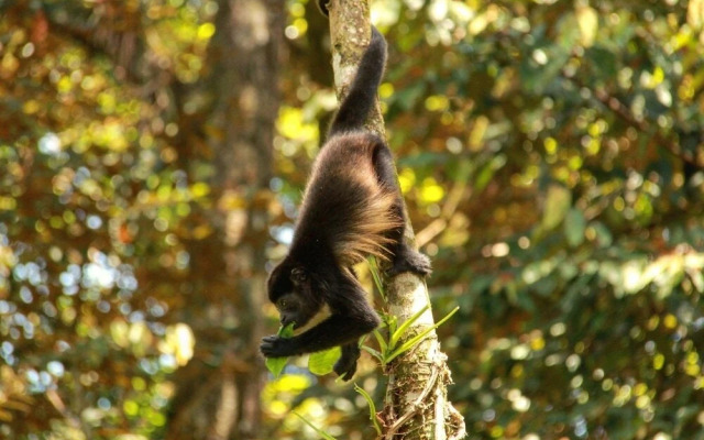 Surf Break at Paunch