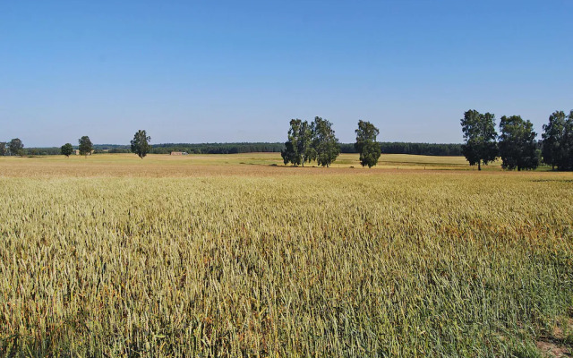 Terraced House With Pool and Sauna, Sieciemin