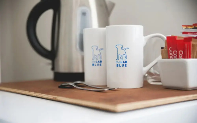theLAB BLUE