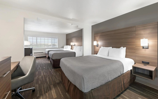 Quality Inn near SeaWorld - Lackland