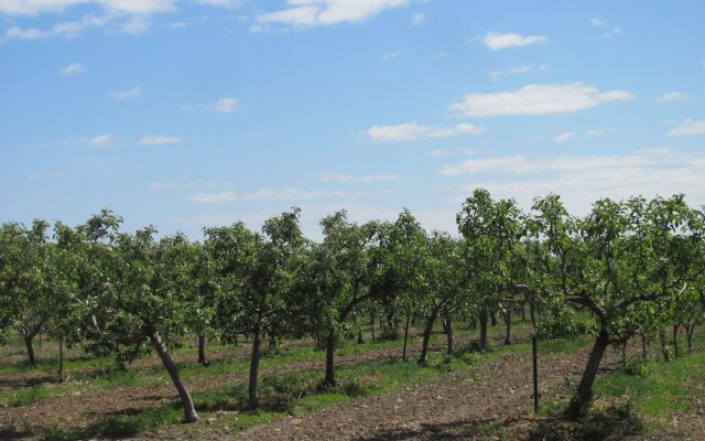 CountrySide Bed & Breakfast