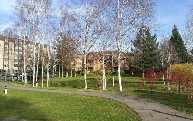 Gold Rush Apartments